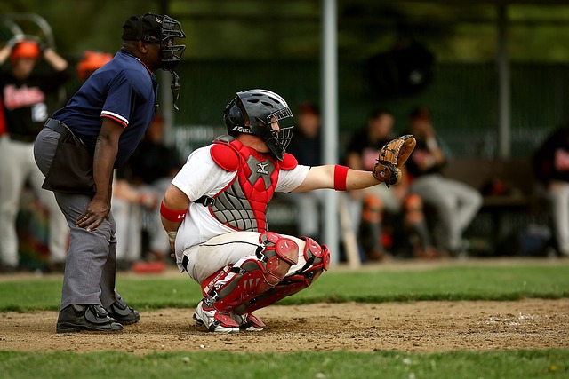 youth baseball