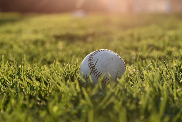 baseball